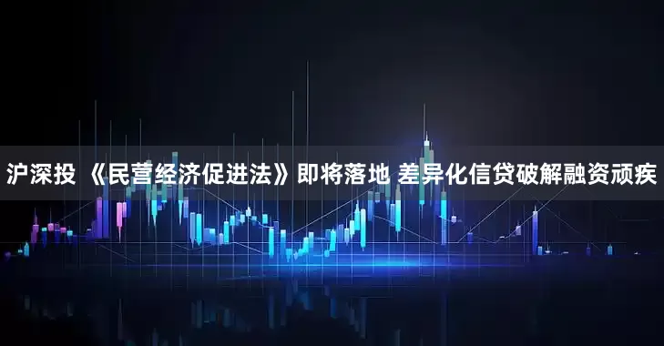 沪深投 《民营经济促进法》即将落地 差异化信贷破解融资顽疾