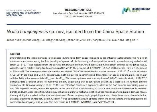 配资吧 首次公布！我国空间站内发现微生物新物种