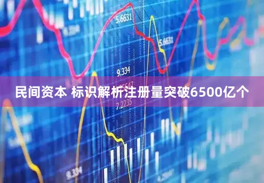 民间资本 标识解析注册量突破6500亿个