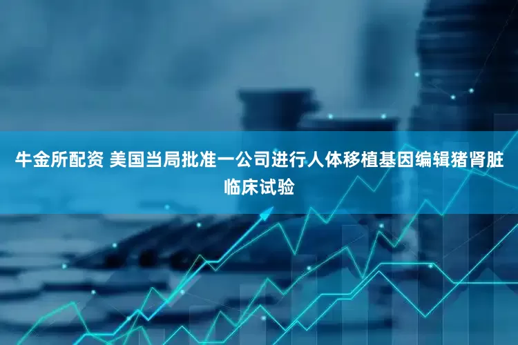 牛金所配资 美国当局批准一公司进行人体移植基因编辑猪肾脏临床试验